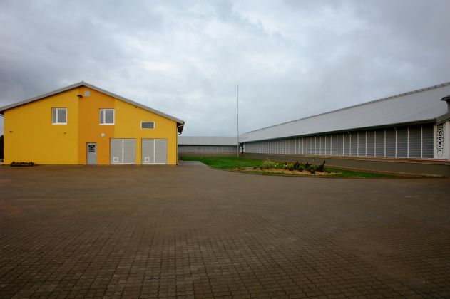 Liellopu ferma