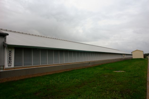 Liellopu ferma