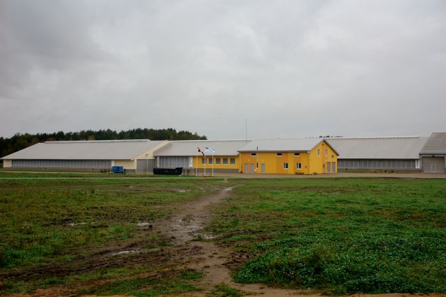 Liellopu ferma